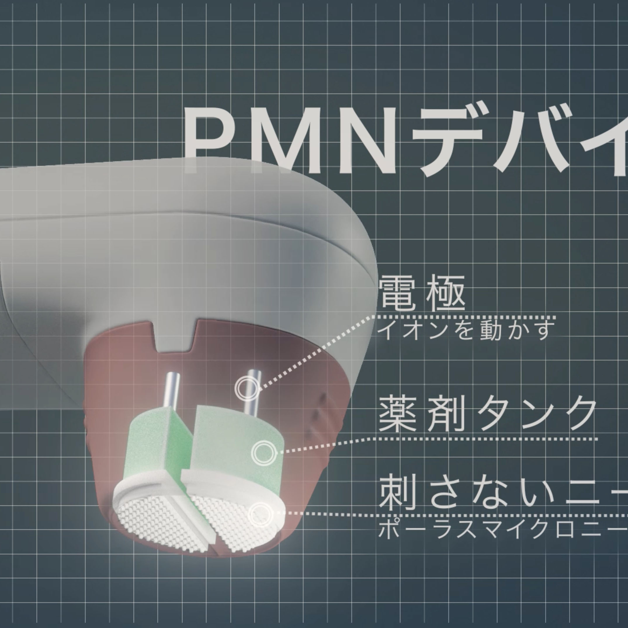 A 3D structural diagram of the PMN device.
