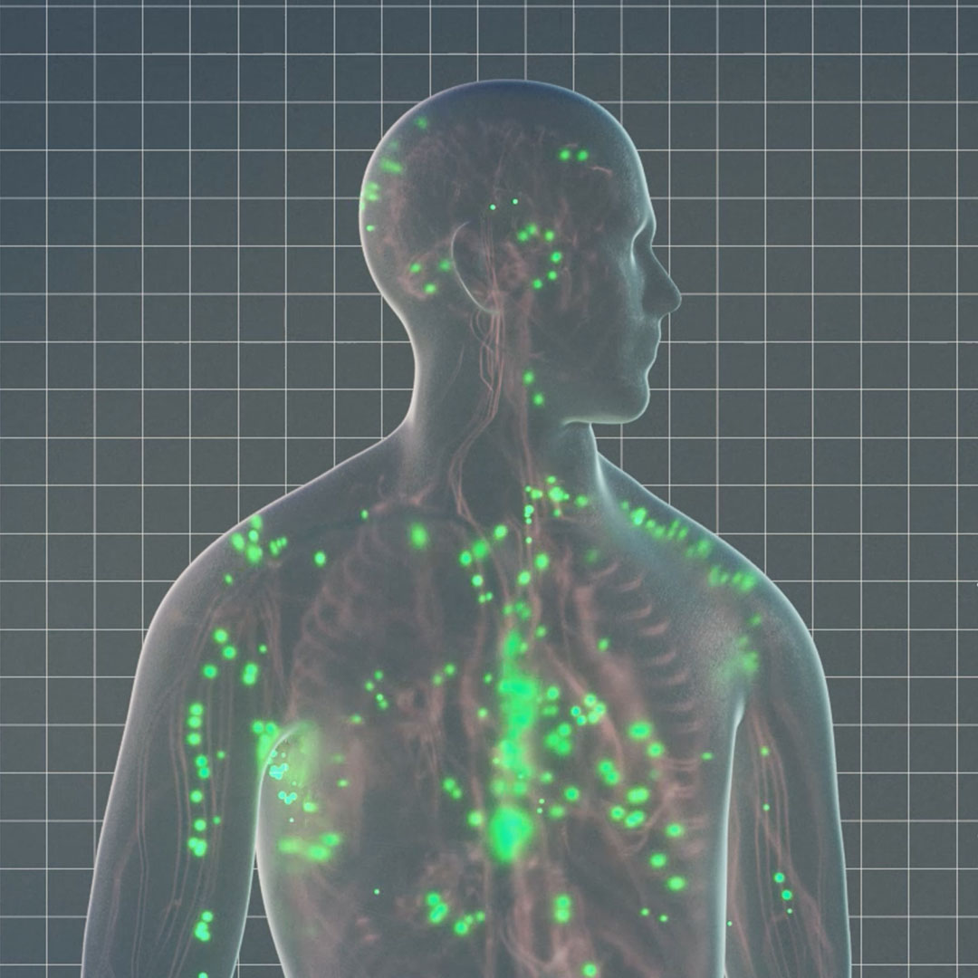 A 3D visualization showing how a drug administered via the PMN device permeates into the body.