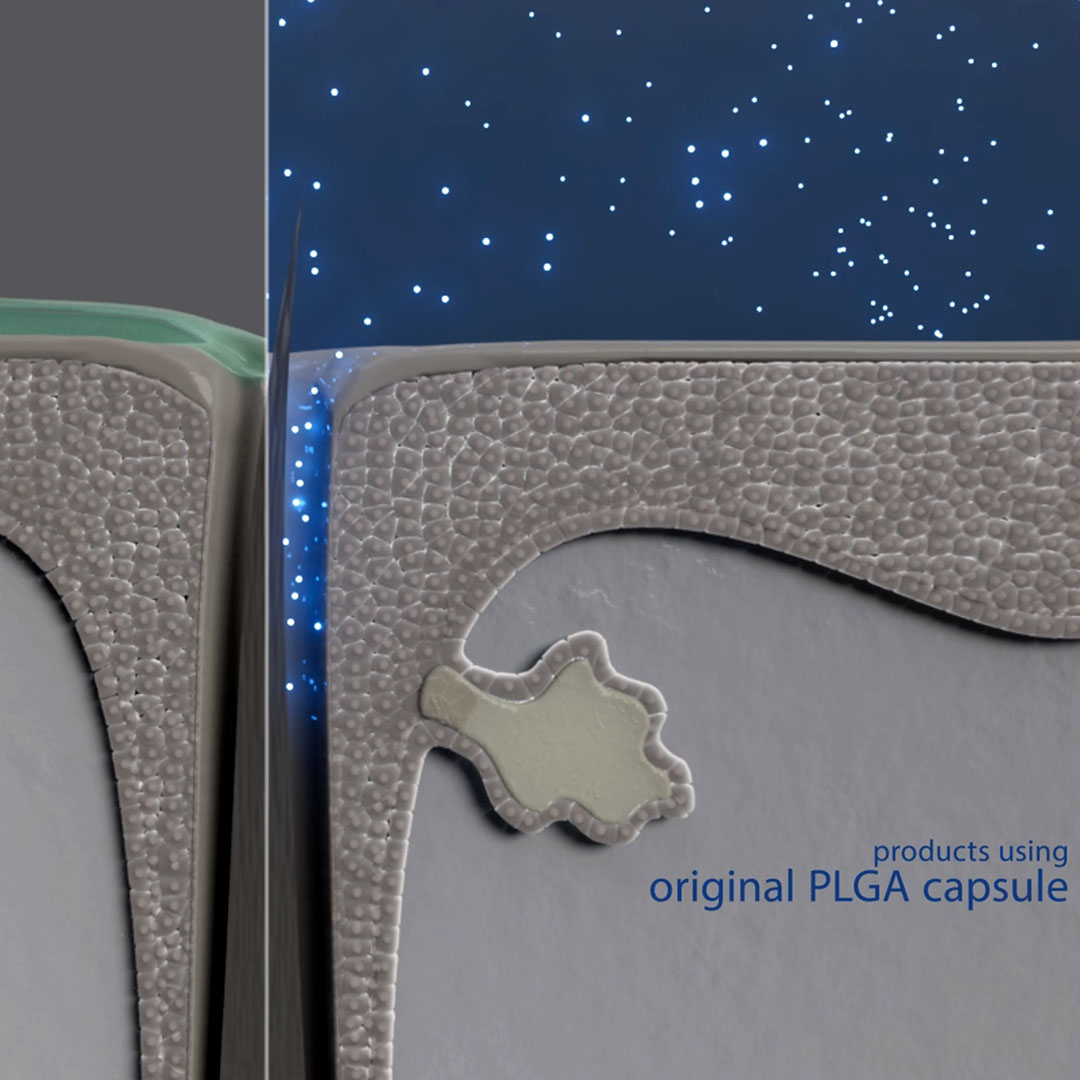 A 3D image showing PLGA nanocapsules penetrating through pores and reaching the hair root.