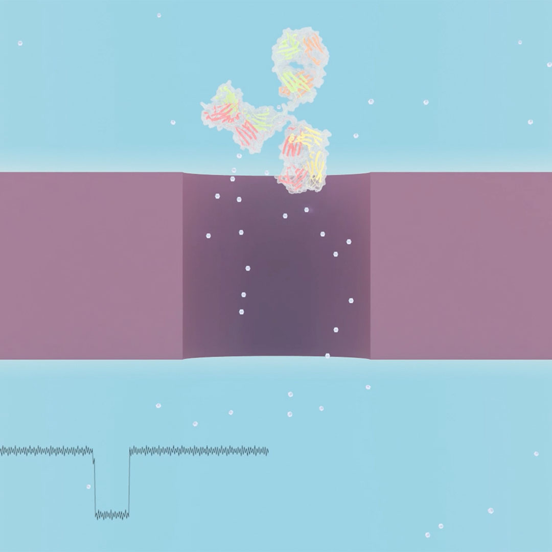 A 3D image showing antibodies passing through a nanopore while their size and shape are measured.