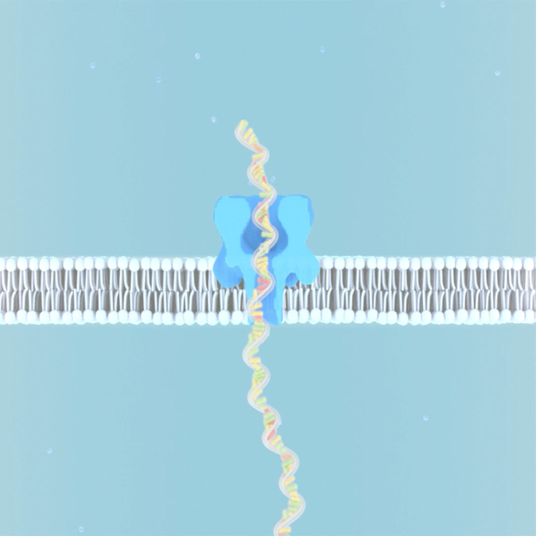 A 3D comparison showing that cell membrane passage measurements, unlike semiconductor nanopores, can only detect whether passage occurred — not what passed through.